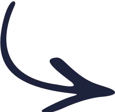 Vector 2